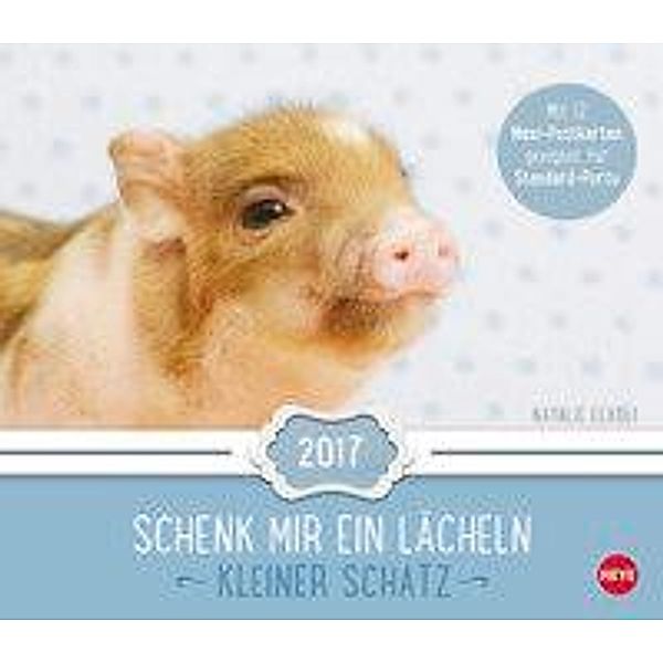 Kleiner Schatz Maxi Postkartenkalender 2017, Natalie Eckelt