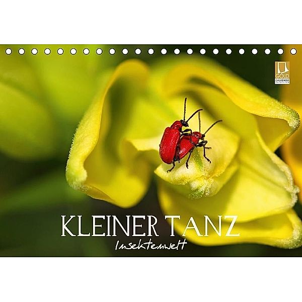 Kleiner Tanz - Insektenwelt (Tischkalender 2017 DIN A5 quer), Veronika Verenin