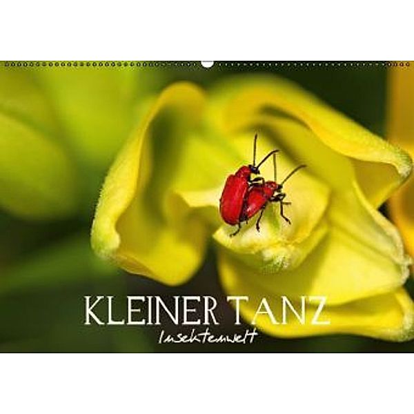 Kleiner Tanz - Insektenwelt (Wandkalender 2015 DIN A2 quer), Vronja Photon