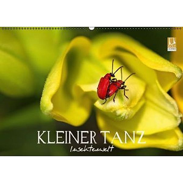 Kleiner Tanz - Insektenwelt (Wandkalender 2016 DIN A2 quer), Vronja Photon