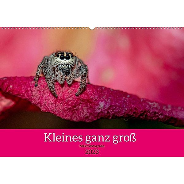 Kleines ganz gross - Makrofotografie (Wandkalender 2023 DIN A2 quer), Ellen Lichtenheldt