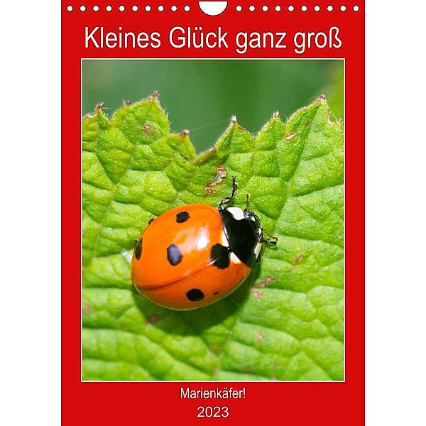 Kleines Glück ganz groß: Marienkäfer! (Wandkalender 2023 DIN A4 hoch), Carola Vahldiek