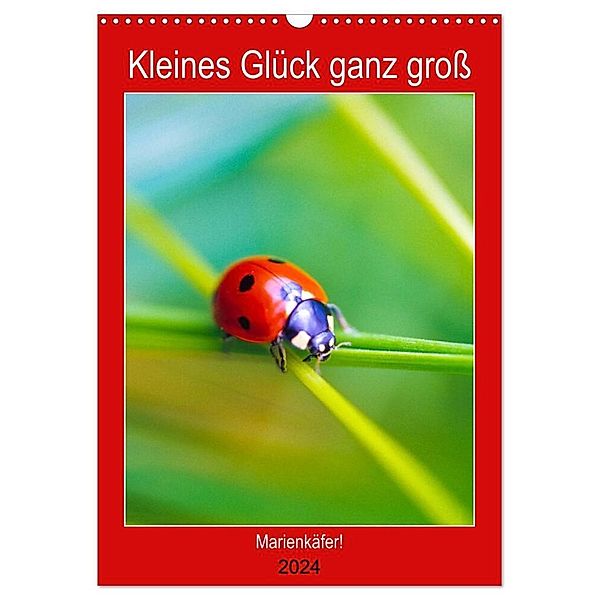 Kleines Glück ganz gross: Marienkäfer! (Wandkalender 2024 DIN A3 hoch), CALVENDO Monatskalender, Carola Vahldiek