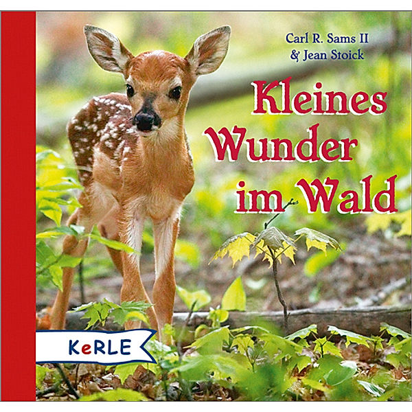 Kleines Wunder im Wald, Carl R. Sams, Jean Stoick