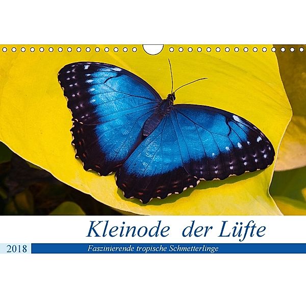 Kleinode der Lüfte - Faszinierende tropische Schmetterlinge (Wandkalender 2018 DIN A4 quer), Armin Maywald