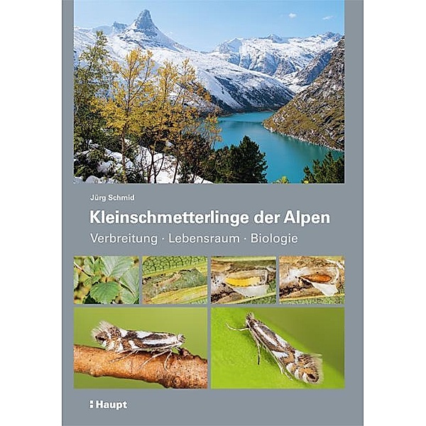 Kleinschmetterlinge der Alpen, Jürg Schmid