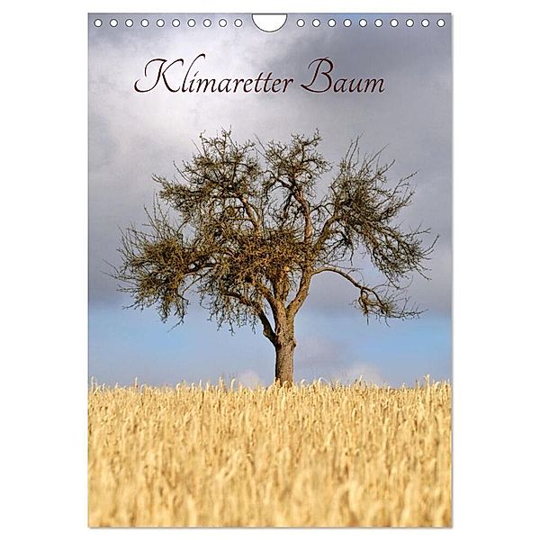 Klimaretter Baum (Wandkalender 2024 DIN A4 hoch), CALVENDO Monatskalender, Christine Wirges