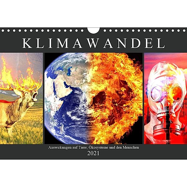 Klimawandel. Auswirkungen auf Tiere, Ökosysteme und den Menschen (Wandkalender 2021 DIN A4 quer), Rose Hurley