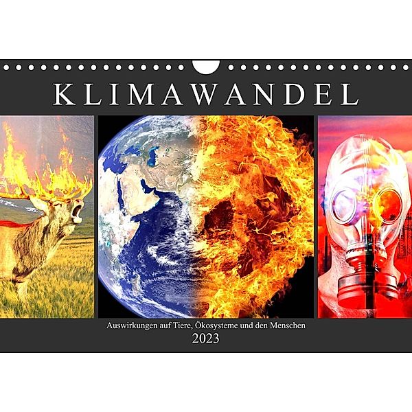 Klimawandel. Auswirkungen auf Tiere, Ökosysteme und den Menschen (Wandkalender 2023 DIN A4 quer), Rose Hurley