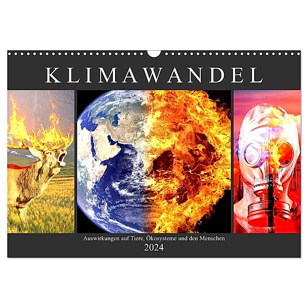 Klimawandel. Auswirkungen auf Tiere, Ökosysteme und den Menschen (Wandkalender 2024 DIN A3 quer), CALVENDO Monatskalender, Rose Hurley