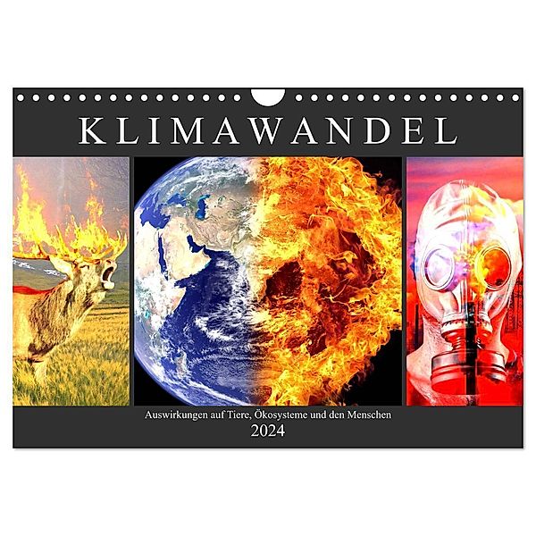 Klimawandel. Auswirkungen auf Tiere, Ökosysteme und den Menschen (Wandkalender 2024 DIN A4 quer), CALVENDO Monatskalender, Rose Hurley