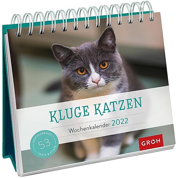 Kluge Katzen 2022, Groh Verlag