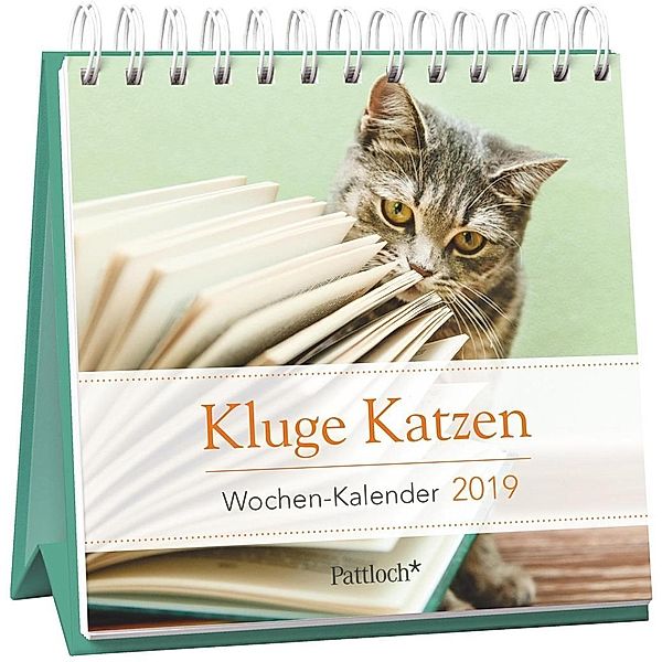 Kluge Katzen - Mini-Kalender 2019