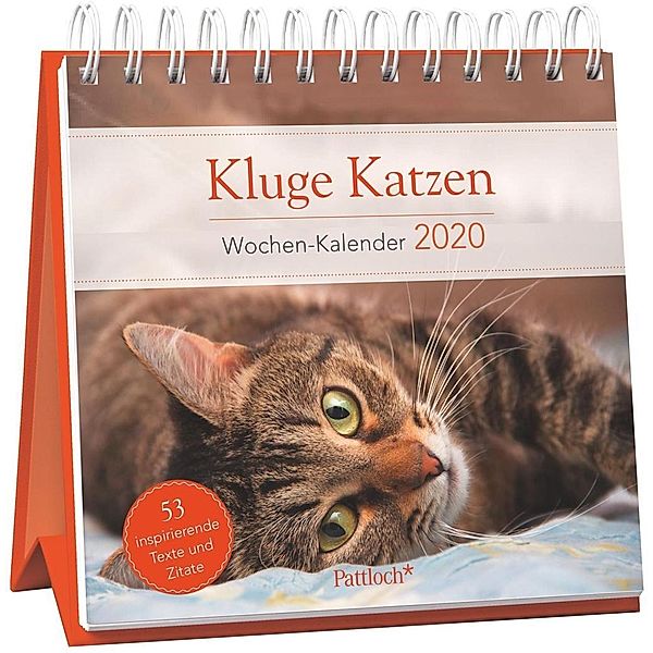 Kluge Katzen - Wochen-Kalender 2020