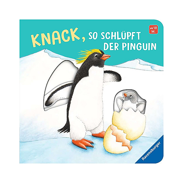 Knack, so schlüpft der Pinguin, Frauke Nahrgang