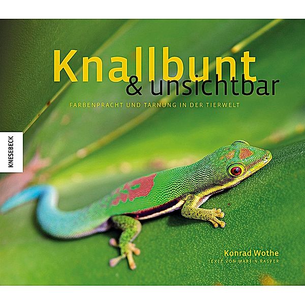 Knallbunt & unsichtbar, Konrad Wothe, Martin Rasper