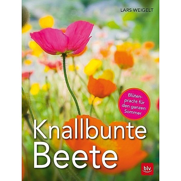 Knallbunte Beete, Lars Weigelt