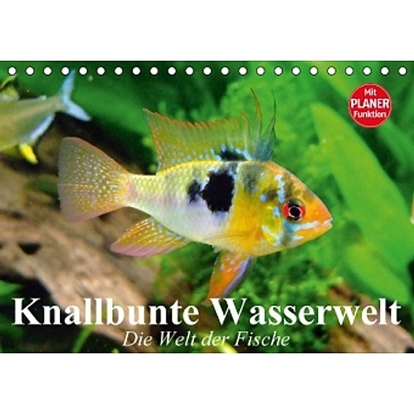 Knallbunte Wasserwelt. Die Welt der Fische (Tischkalender 2016 DIN A5 quer), Elisabeth Stanzer