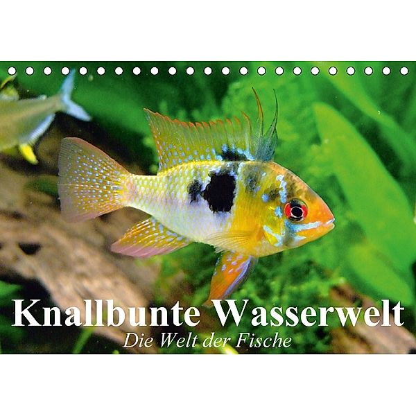 Knallbunte Wasserwelt. Die Welt der Fische (Tischkalender 2018 DIN A5 quer) Dieser erfolgreiche Kalender wurde dieses Ja, Elisabeth Stanzer