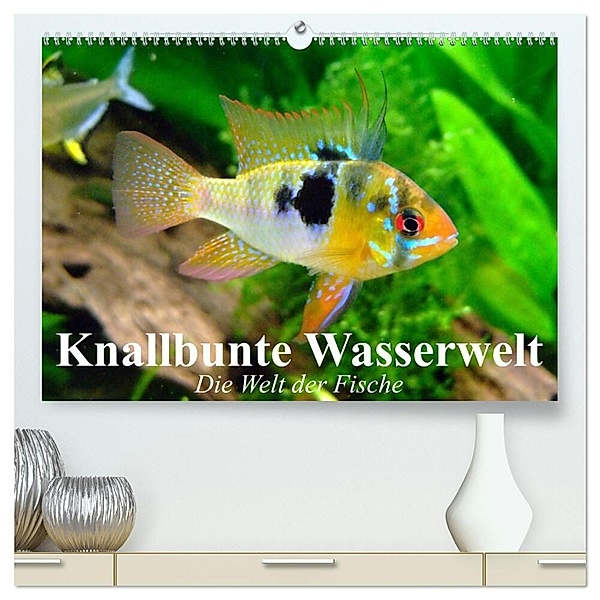 Knallbunte Wasserwelt. Die Welt der Fische (hochwertiger Premium Wandkalender 2024 DIN A2 quer), Kunstdruck in Hochglanz, Elisabeth Stanzer