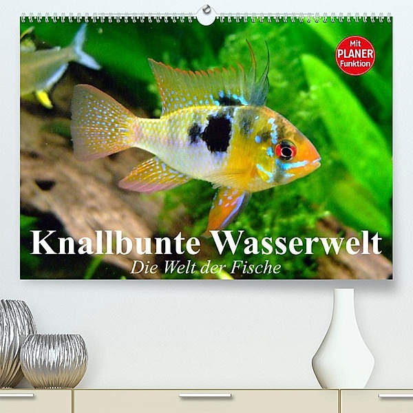 Knallbunte Wasserwelt. Die Welt der Fische (Premium, hochwertiger DIN A2 Wandkalender 2023, Kunstdruck in Hochglanz), Elisabeth Stanzer