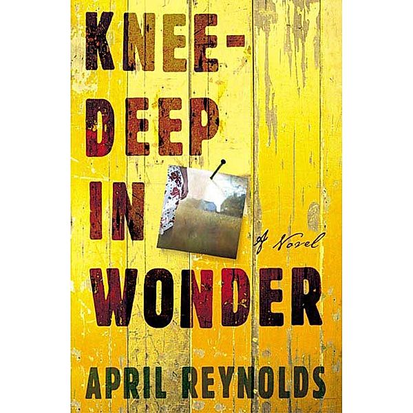 Knee-Deep in Wonder, April Reynolds