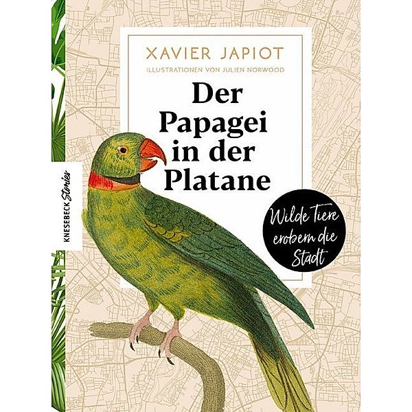 Knesebeck Stories / Der Papagei in der Platane, Xavier Japiot