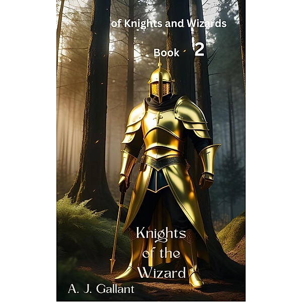 Knights of the Wizard (of Knights and Wizards, #2) / of Knights and Wizards, A. J. Gallant