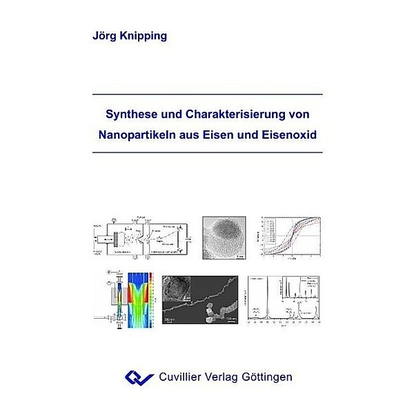 Knipping, J: Synthese und Charakterisierung von Nanopartikel, Jörg Knipping