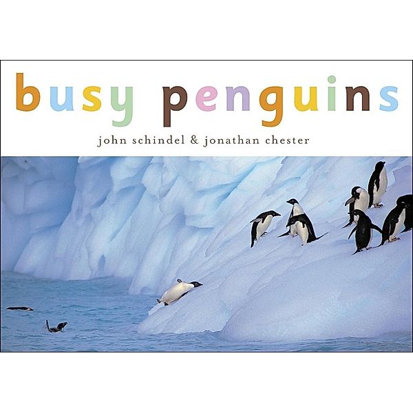 Knopf Books for Young Readers: Busy Penguins, John Schindel