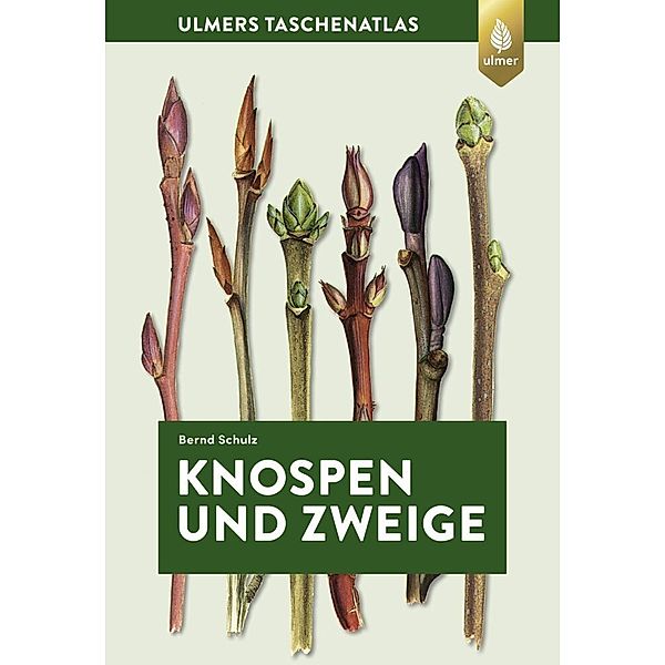 Knospen und Zweige, Bernd Schulz