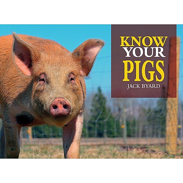 Know Your Pigs, Jack Byard