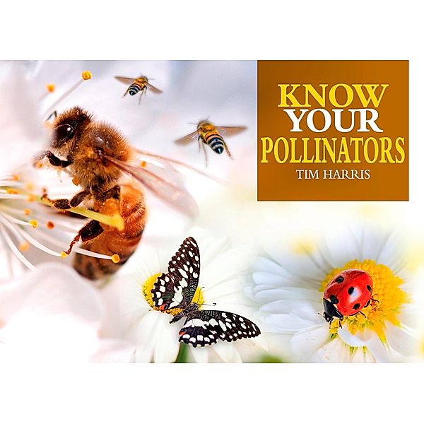 Know Your Pollinators, Tim Harris