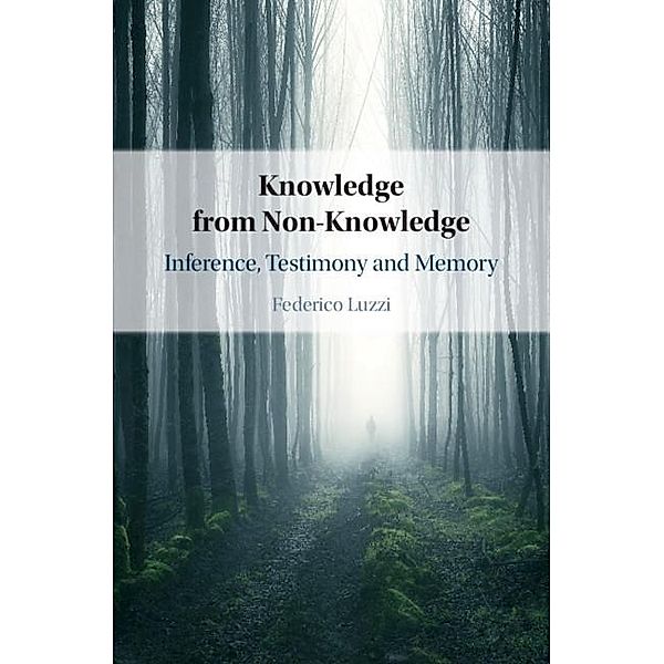 Knowledge from Non-Knowledge, Federico Luzzi