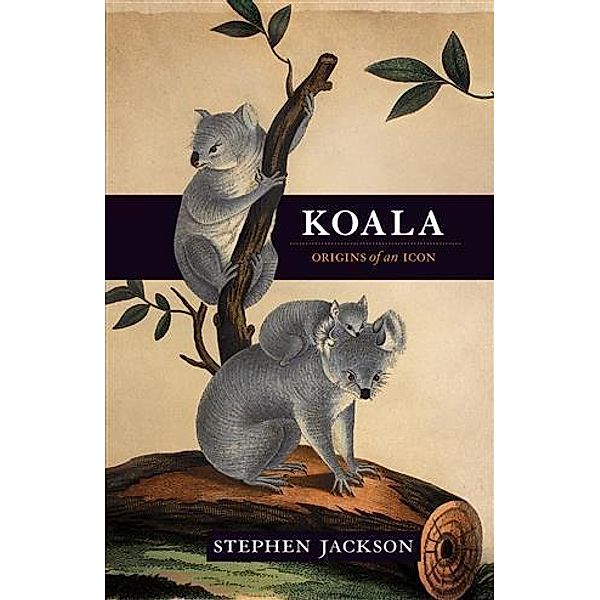 Koala, Stephen Jackson