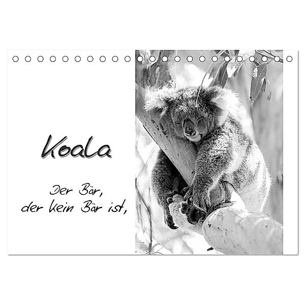 Koala Ein Bär, der kein Bär ist (Tischkalender 2024 DIN A5 quer), CALVENDO Monatskalender, Silvia Drafz