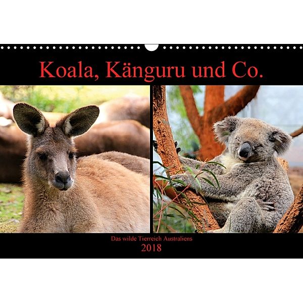 Koala, Känguru und Co. - Das wilde Tierreich Australiens (Wandkalender 2018 DIN A3 quer) Dieser erfolgreiche Kalender wu, Raphaela Tesch