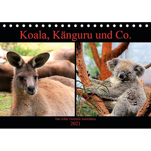 Koala, Känguru und Co. - Das wilde Tierreich Australiens (Tischkalender 2021 DIN A5 quer), Raphaela Tesch