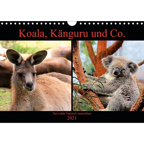 Koala, Känguru und Co. - Das wilde Tierreich Australiens (Wandkalender 2021 DIN A4 quer), Raphaela Tesch
