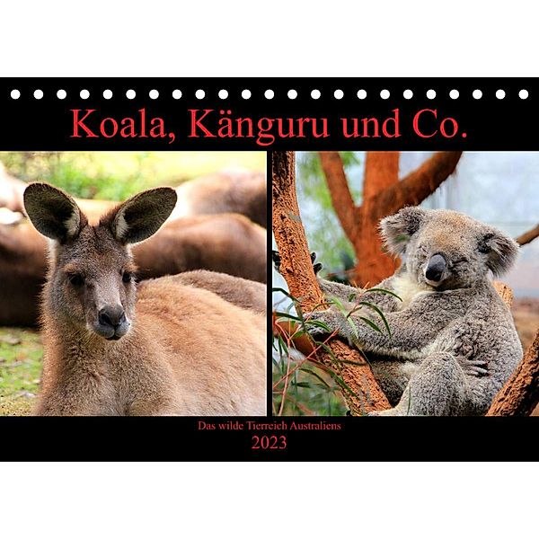 Koala, Känguru und Co. - Das wilde Tierreich Australiens (Tischkalender 2023 DIN A5 quer), Raphaela Tesch