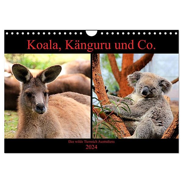 Koala, Känguru und Co. - Das wilde Tierreich Australiens (Wandkalender 2024 DIN A4 quer), CALVENDO Monatskalender, Raphaela Tesch