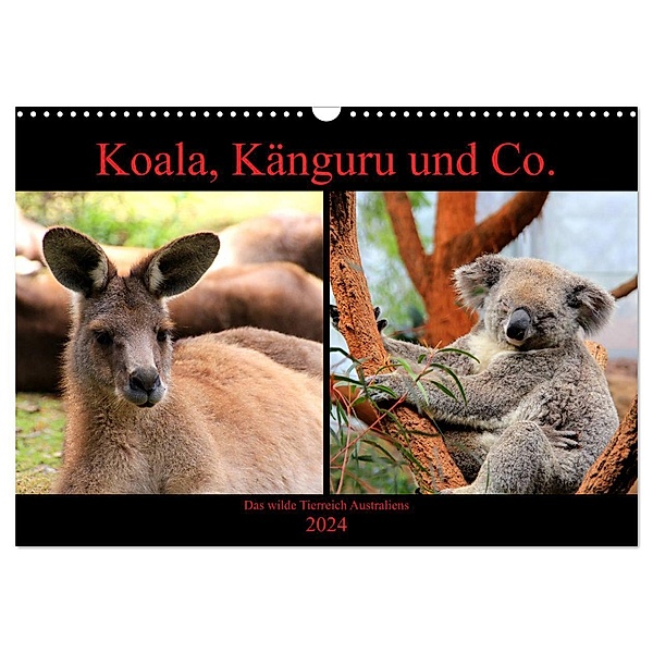 Koala, Känguru und Co. - Das wilde Tierreich Australiens (Wandkalender 2024 DIN A3 quer), CALVENDO Monatskalender, Raphaela Tesch