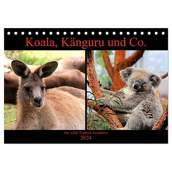 Koala, Känguru und Co. - Das wilde Tierreich Australiens (Tischkalender 2024 DIN A5 quer), CALVENDO Monatskalender, Raphaela Tesch