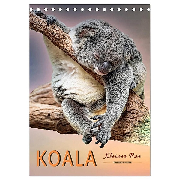 Koala, kleiner Bär (Tischkalender 2024 DIN A5 hoch), CALVENDO Monatskalender, Peter Roder