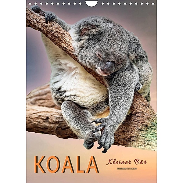 Koala, kleiner Bär (Wandkalender 2023 DIN A4 hoch), Peter Roder