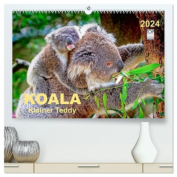 Koala - kleiner Teddy (hochwertiger Premium Wandkalender 2024 DIN A2 quer), Kunstdruck in Hochglanz, Peter Roder