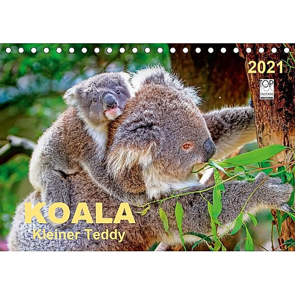 Koala - kleiner Teddy (Tischkalender 2021 DIN A5 quer), Peter Roder