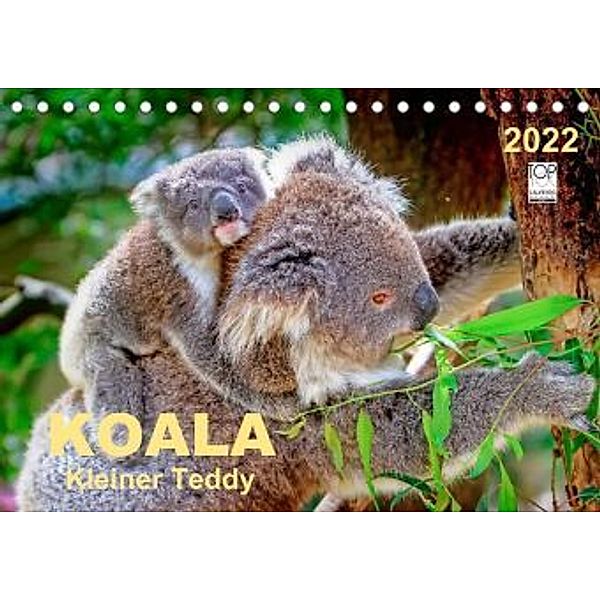 Koala - kleiner Teddy (Tischkalender 2022 DIN A5 quer), Peter Roder