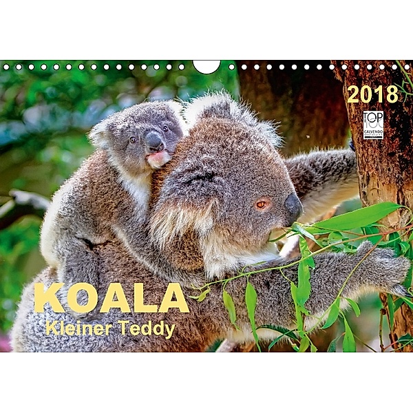 Koala - kleiner Teddy (Wandkalender 2018 DIN A4 quer) Dieser erfolgreiche Kalender wurde dieses Jahr mit gleichen Bilder, Peter Roder
