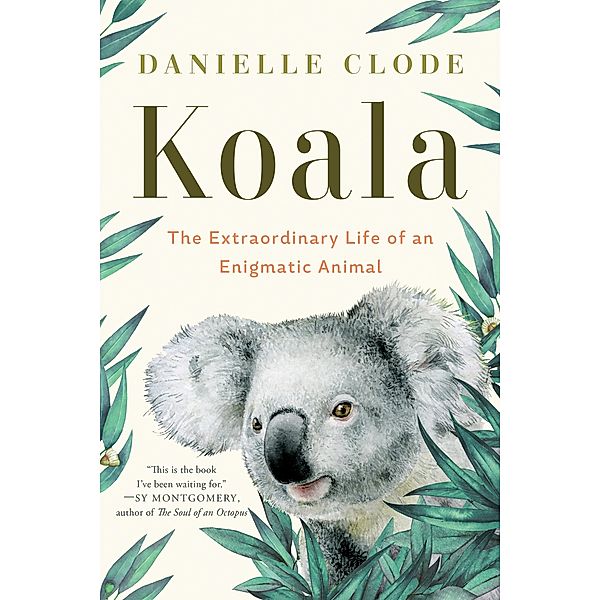 Koala: The Extraordinary Life of an Enigmatic Animal, Danielle Clode